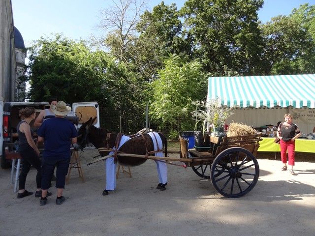 fete ane 2018 (39).JPG